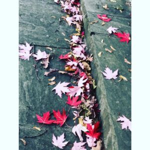 Jacinda Barrett Instagram - Today in toronto.  #fall is a beauty.