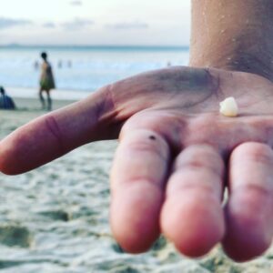 Jacinda Barrett Instagram - Treasure at the beach. What do you think it is?