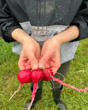 Jacqueline Scislowski Instagram - Just a girl on a farm!💚💚🤪 love a raining day in the gardens! 🐛🪱🐜🐸👩🏼‍🌾

.
.
.
.
#farmlife #farming #gardening #biggestlittlefarm #madison #wisconsin #uwmadison #rainyday #fresh #workin #nature