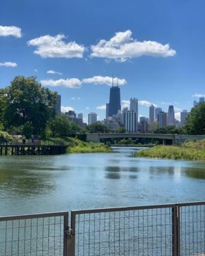 Jacqueline Scislowski Instagram - Friday photo dump of the week 🦒🌞💛#chicago #friday #summer #photodump #zoo #lincolnparkchicago #2024 #sunshine #happy swipe to the end see a surprise 😆🐢🐢🐢