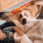Jacqueline MacInnes Wood Instagram - Lately… 🤍🦋