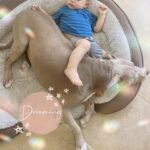 Jacqueline MacInnes Wood Instagram - The bond she has with my kids … 💕