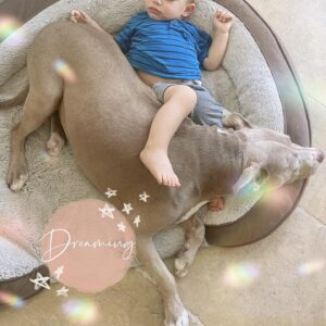 Jacqueline MacInnes Wood Instagram - The bond she has with my kids … 💕