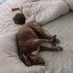 Jacqueline MacInnes Wood Instagram - Life 🤍