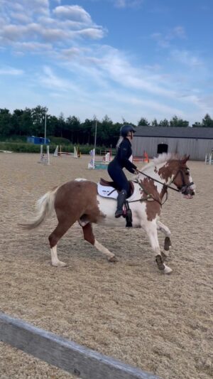 Jade Affleck Instagram - Eddie jumped his little heart out for me tonight🫶🏼 so lucky to have this horse in my life hes just the best🦄🩵