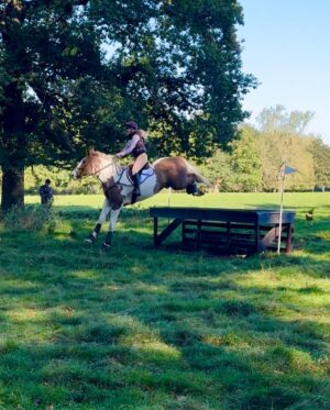 Jade Affleck Instagram - What a way to end the season! First place for me and Eddie at maunby Hall today! Im so so proud of him❤️ thank you all my lovely sponsors for all the support throughout the year im so greatful 🫶🏼 @westleighssaddlery @omegaequine @alx_horseboxes