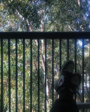 Jade Alleyne Instagram - Somewhere in LA