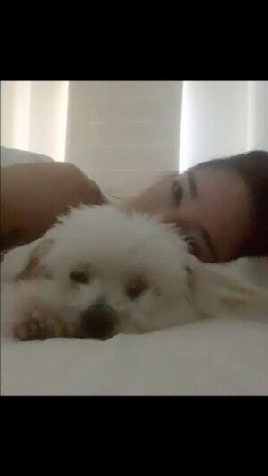 Jaime Murray Instagram - Lulu, our little baby, the heartbreak of losing you is only equal to the light, deep love & infinite joy you brought into our lives. Thank you great spirit for the gift of your magnificence. I love you so much & hope I get to cuddle you again. You are such a blessing. Pure love always & forever ❤️