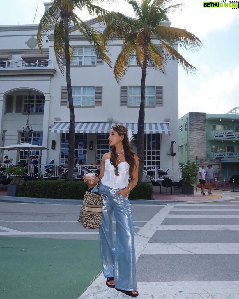 Jami Alix Instagram - so sweet of the four seasons miami to hire law enforcement just to make sure girls in heels make it safely down the cobblestone <33