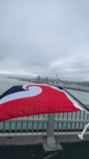 Janay Harding Instagram - Power for our people ✊🏾
@maori_party