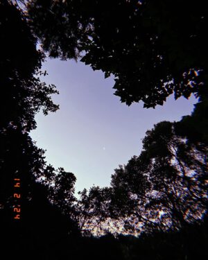 Janay Harding Instagram - Wā hinengaro 🌙✨