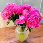 Jane Moore Instagram - My favourite flower #peonies What’s your favourite? 💐