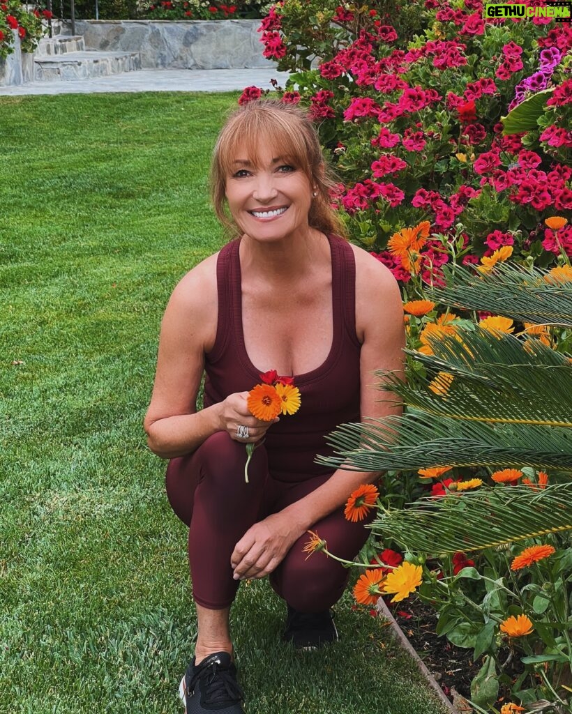 Jane Seymour Instagram - Capturing the essence of “the now” is like picking flowers – delicate, fleeting, and eternally beautiful. 💐 Remember to seize the moment, and let life’s garden unfold. 💗 Happy #OpenHeartsSunday!
