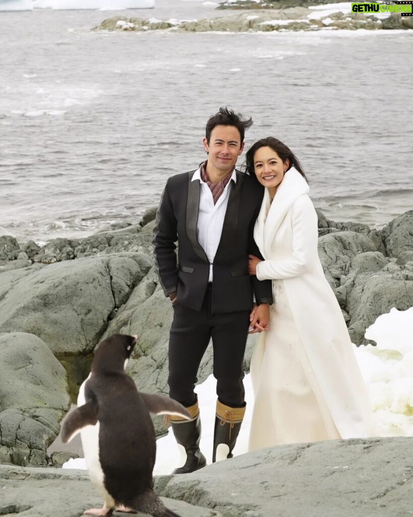 Janet Hsieh Instagram - Antarctica. 9 years ago today. One of the photos that didn't make the cut because the penguin refused to both get out of the way and sign the damn release form. Happy Anniversary @janetagram x Photo by fellow ice man @nickonken