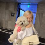Jang Ye-eun Instagram - 리모옌