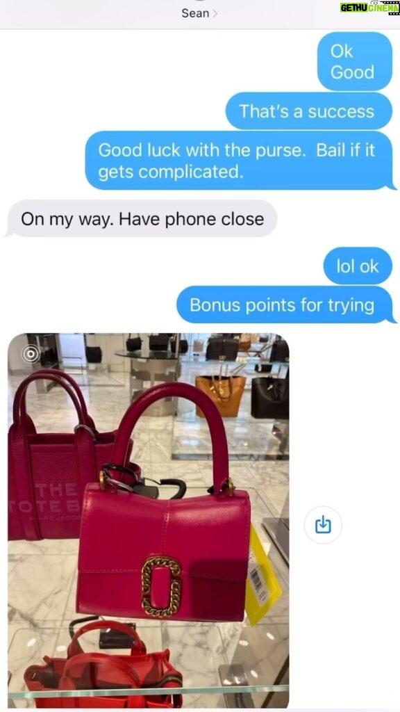 Janice Dean Instagram - Asked my husband to pick up a pink handbag to match a dress for an event I’m going to this weekend. I sent him a picture of what it looks like and told him to just ask someone for help. He said he would do it. 4 stores, several calls and these texts. I married well. Husband of the year.
