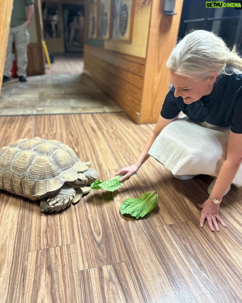 Janice Dean Instagram - The animals stole the show today ⁦‪@LittleRockZoo‬⁩ #TotalsolarEclipse