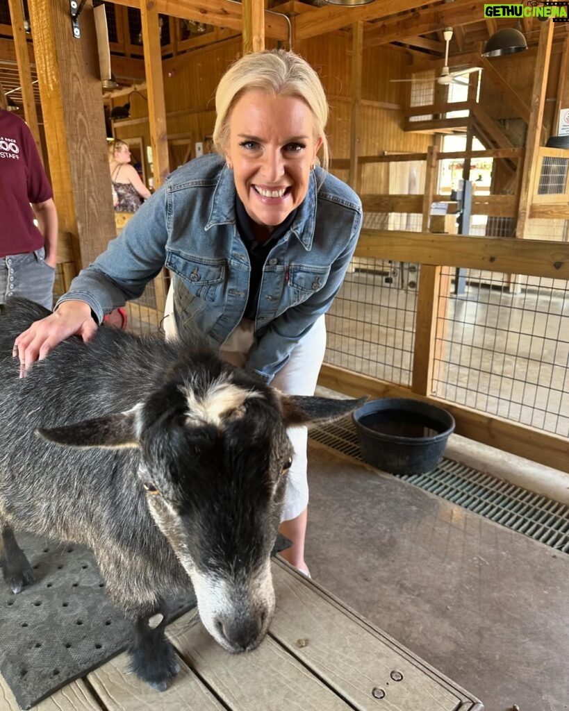 Janice Dean Instagram - The animals stole the show today ⁦‪@LittleRockZoo‬⁩ #TotalsolarEclipse