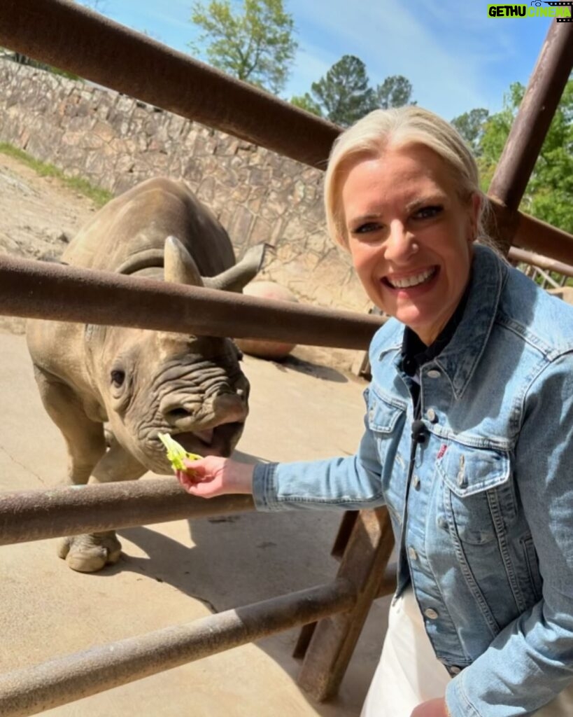 Janice Dean Instagram - The animals stole the show today ⁦‪@LittleRockZoo‬⁩ #TotalsolarEclipse