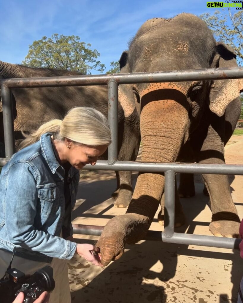 Janice Dean Instagram - The animals stole the show today ⁦‪@LittleRockZoo‬⁩ #TotalsolarEclipse