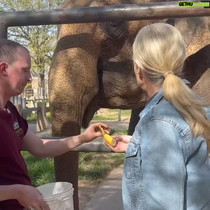 Janice Dean Instagram - The animals stole the show today ⁦‪@LittleRockZoo‬⁩ #TotalsolarEclipse