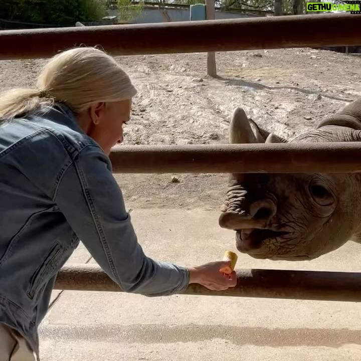 Janice Dean Instagram - The animals stole the show today ⁦‪@LittleRockZoo‬⁩ #TotalsolarEclipse