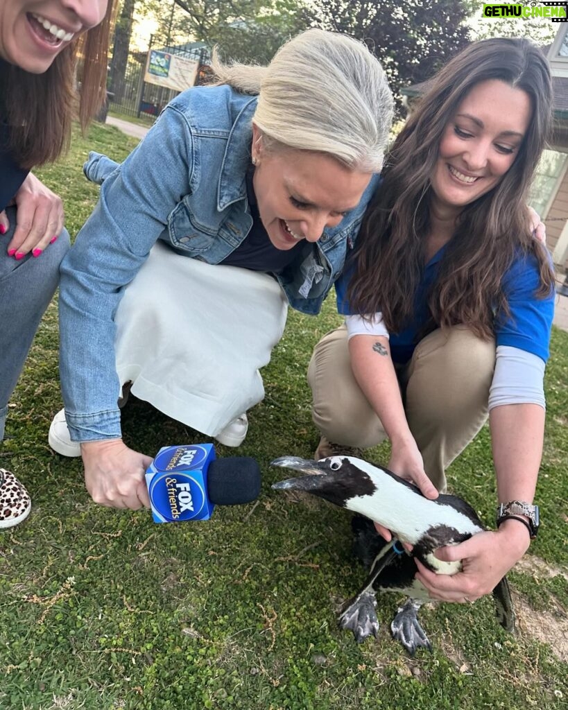 Janice Dean Instagram - The animals stole the show today ⁦‪@LittleRockZoo‬⁩ #TotalsolarEclipse