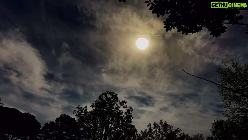 Janice Dean Instagram - Here it is #TotalSolarEclipse2024 #LittleRock @LittleRockZoo amazing video by @nathantheoperator @foxandfriends