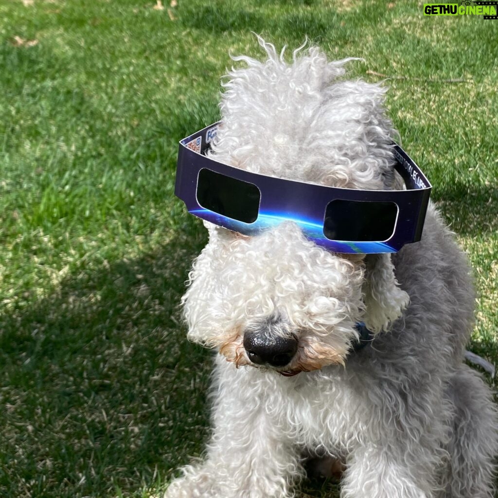 Janice Dean Instagram - Lola has her @foxweather #solareclipse glasses on! #nyc