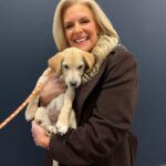 Janice Dean Instagram - It’s #NationalAdoptaShelterPetDay raising awareness for thousands of pets that are waiting for (and needing) adoption from shelters. Sam, Fin and Aaron are all adoptable from ⁦‪#BestFriendsAnimalSociety foxandfriends‬⁩ 🐾