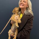 Janice Dean Instagram - It’s #NationalAdoptaShelterPetDay raising awareness for thousands of pets that are waiting for (and needing) adoption from shelters. Sam, Fin and Aaron are all adoptable from ⁦‪#BestFriendsAnimalSociety foxandfriends‬⁩ 🐾