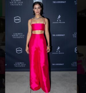 Janina Gavankar Instagram - There was a gathering to celebrate the many South Asian artists that made this year’s Oscar nominated films. Though it was the first of its kind, it didn’t feel like “a moment”, it felt like part of the sustainable crescendo that the Desi community is making.
And as you can see from these pics, the love I have for these people is BIG. 💓