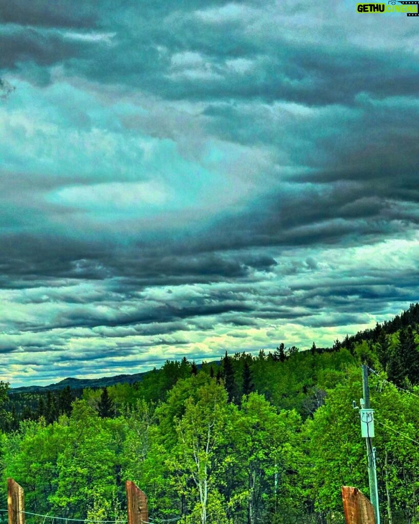 Jann Arden Instagram - This is the view from where I take my garbage and recycling... Interesting contrast. I actually don't have that much garbage. Most of it can be re used- re purposed- re imagined. Every little bit becomes a big bit.