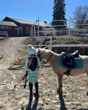Jannika Wirtanen Instagram - Willit Wappu Wirtaset. 🥂🥳🐴💜