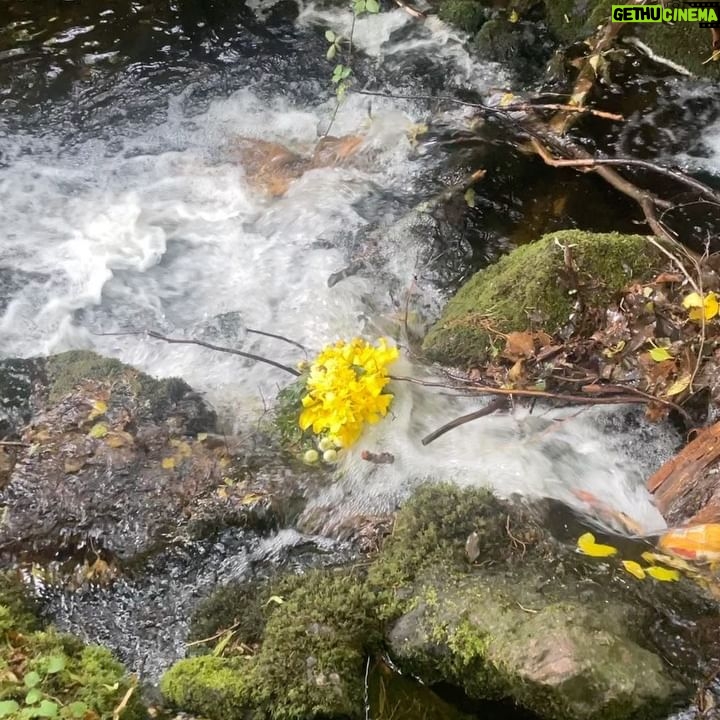 Javiera Mena Instagram - Les comparto unas imágenes de estos inspiradores y profundos días en Escocia 🏴󠁧󠁢󠁳󠁣󠁴󠁿 tierra de castillos, catedrales góticas con mucha magia celta en el ambiente 🧝🏾‍♀️ 📸 @manolo_one_person