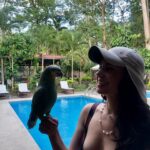 Javiera Mena Instagram – Días profundos adentradas en el amazonas 🇵🇪 🌴 🫶 Perú