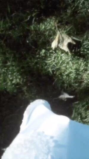 Jazlyn Nicolette Sward Instagram - A Short Film ‘Reservation’.

Full film on my YouTube.