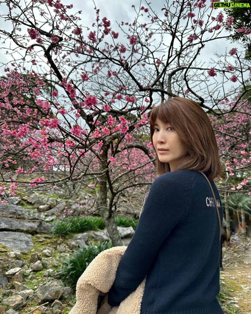 Jeanette Aw Instagram - I guess I’m still not done with Japan posts.. The day I caught some early sakuras at the castle and ending the visit with sakura ice cream and some really good coffee.