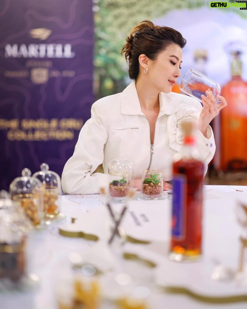 Jeanette Aw Instagram - A one of a kind experience at the launch of the new #MartellSingleCru collection, exploring the nuances and uncovering the distinct terroirs of the Cognac region. Please enjoy Martell responsibly. @MartellOfficial #Martell #Ad
