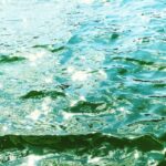 Jeanette Biedermann Instagram – Was für ein schöner, kleiner Bootstripp in Berlin! #🤩 Ein schöner Sonntag war das und eine tolle Sommer-Woche! Ich hab meinen Bootsführerschein gemacht! #🥳🥳🥳 #⚓️ Ich liebe das Wasser! #❤️ Mein Element! #🐟 

„Nur Wasser kann eine Wüste verwandeln.
Wasser ist Leben. Liebe ist lebendiges Wasser“

Ich wünsche euch eine schöne, neue Woche! #🤗 #☀️ #🌊 

Wie war euer Wochenende?

#jeanettebiedermann #wasser #element #wellenwiemusik #musik #runterkommen #ankommen #sonne #sommer #hafen #liebe #liebezurnatur #liebeistlebendigeswasser #💙#🩷