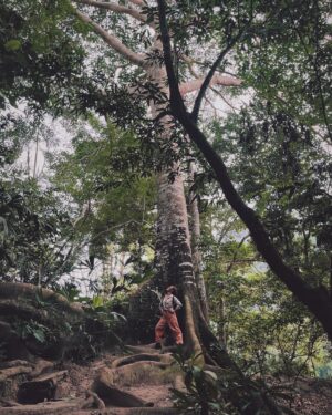 Jely Reategui Instagram - Un escapadón 3000 mega necesario al @pumarinri_lodge en San Martín 💚 (a 50 min de Tarapoto) gran contentura para mi corazón 🥲🧡 Gracias ✨🌷🥰🦉🦋🦎🕷️🐍🪲🦖