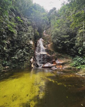 Jely Reategui Instagram - Un escapadón 3000 mega necesario al @pumarinri_lodge en San Martín 💚 (a 50 min de Tarapoto) gran contentura para mi corazón 🥲🧡 Gracias ✨🌷🥰🦉🦋🦎🕷️🐍🪲🦖