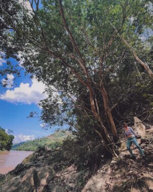 Jely Reategui Instagram - Un escapadón 3000 mega necesario al @pumarinri_lodge en San Martín 💚 (a 50 min de Tarapoto) gran contentura para mi corazón 🥲🧡 Gracias ✨🌷🥰🦉🦋🦎🕷️🐍🪲🦖