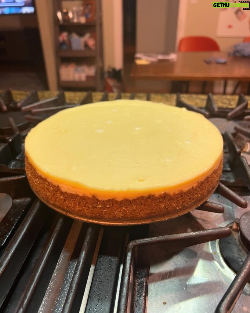 Jen Gunter Instagram - It was a day of baking! Cheesecake with strawberry sauce. No cracks in the cheesecake!!!! Also a @sallysbakeblog recipe. I have made it several times and it is soooooo tasty.