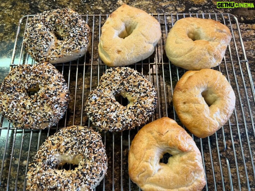 Jen Gunter Instagram - Son who is back from college wanted homemade bagels. I asked if he could wait 3 ish hours? And he could. Very tasty! Not that much effort. Made the dough. Went to the store while it proofed and to get some lox. Then boiled and baked! Recipe is from the always amazing @sallysbakeblog