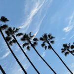 Jenna Elfman Instagram - La La Land. Perfect weather needs no filter, baby. (The ONLY thing in LA that doesn’t need a filter.)