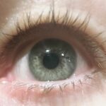 Jenna Elfman Instagram - Like mother, like son. 👁️ 👁️