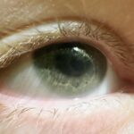 Jenna Elfman Instagram - Like mother, like son. 👁️ 👁️