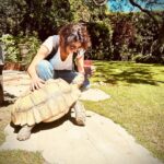 Jenna Laurenzo Instagram - Leave it to @onsetwithmichellebeck to lead me into a magical garden, greeted by a tortoise 🐢 ❤️✨