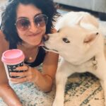 Jenna Laurenzo Instagram - We were promised treats @aine_like_onya 🐶 . . . #siberianhusky #husky #puppylove #sunday #coffeetime